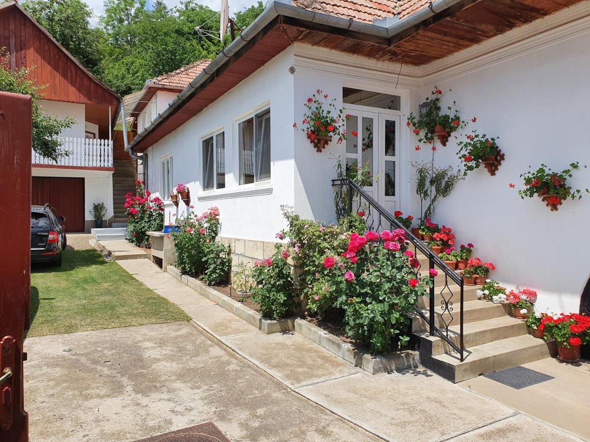 Bed and Breakfast Rozsa Panzio Rimetea Exterior foto