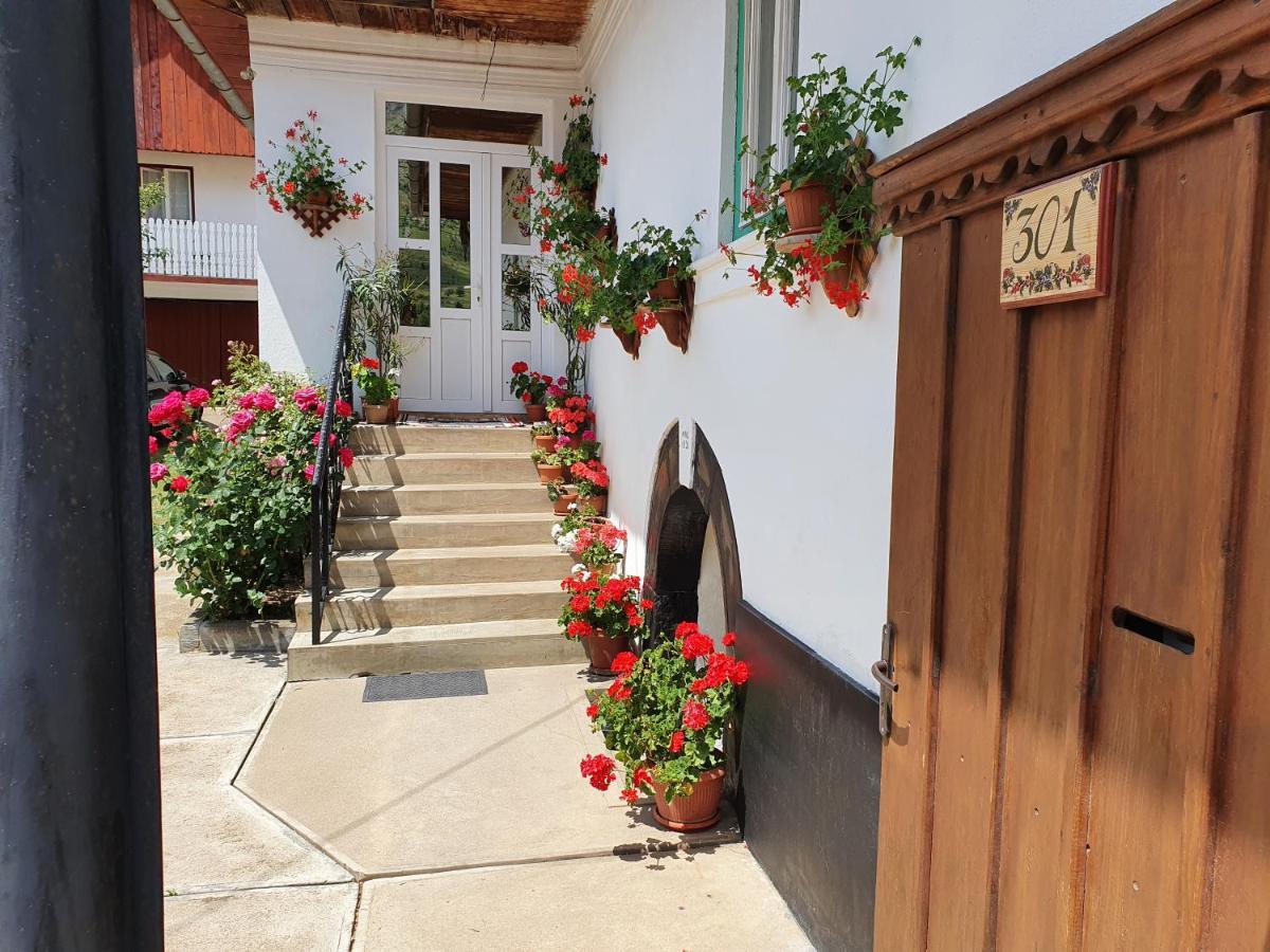 Bed and Breakfast Rozsa Panzio Rimetea Exterior foto