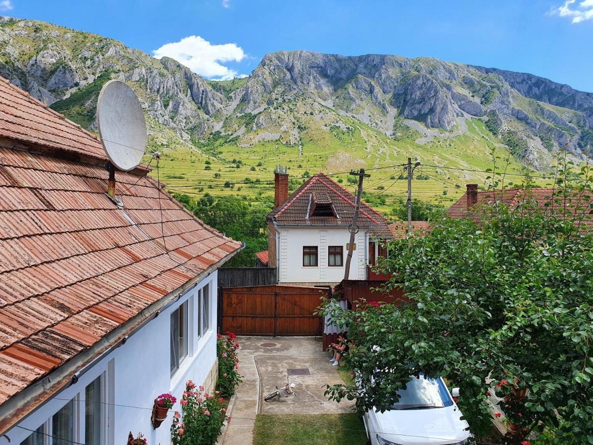 Bed and Breakfast Rozsa Panzio Rimetea Exterior foto