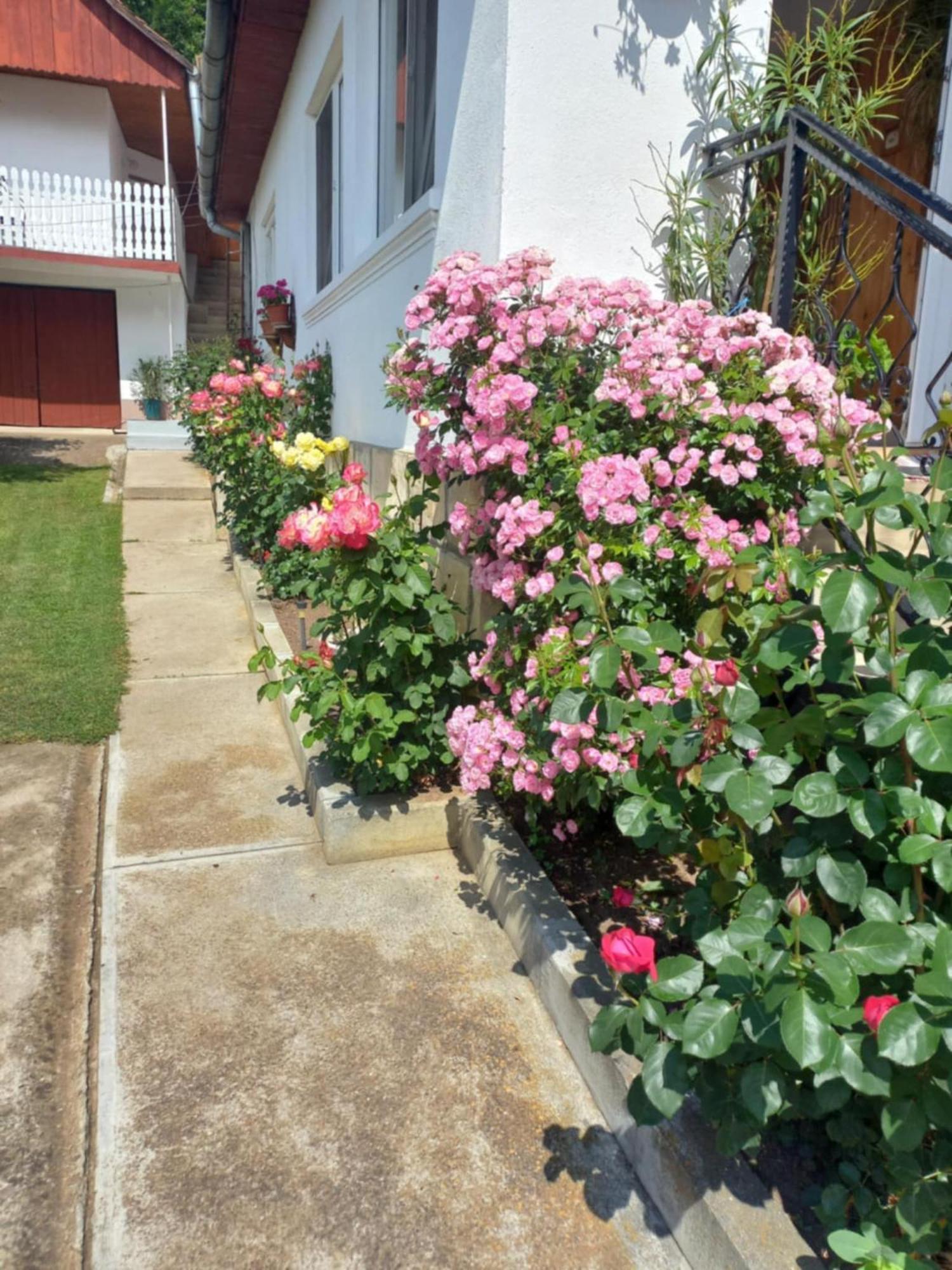 Bed and Breakfast Rozsa Panzio Rimetea Exterior foto