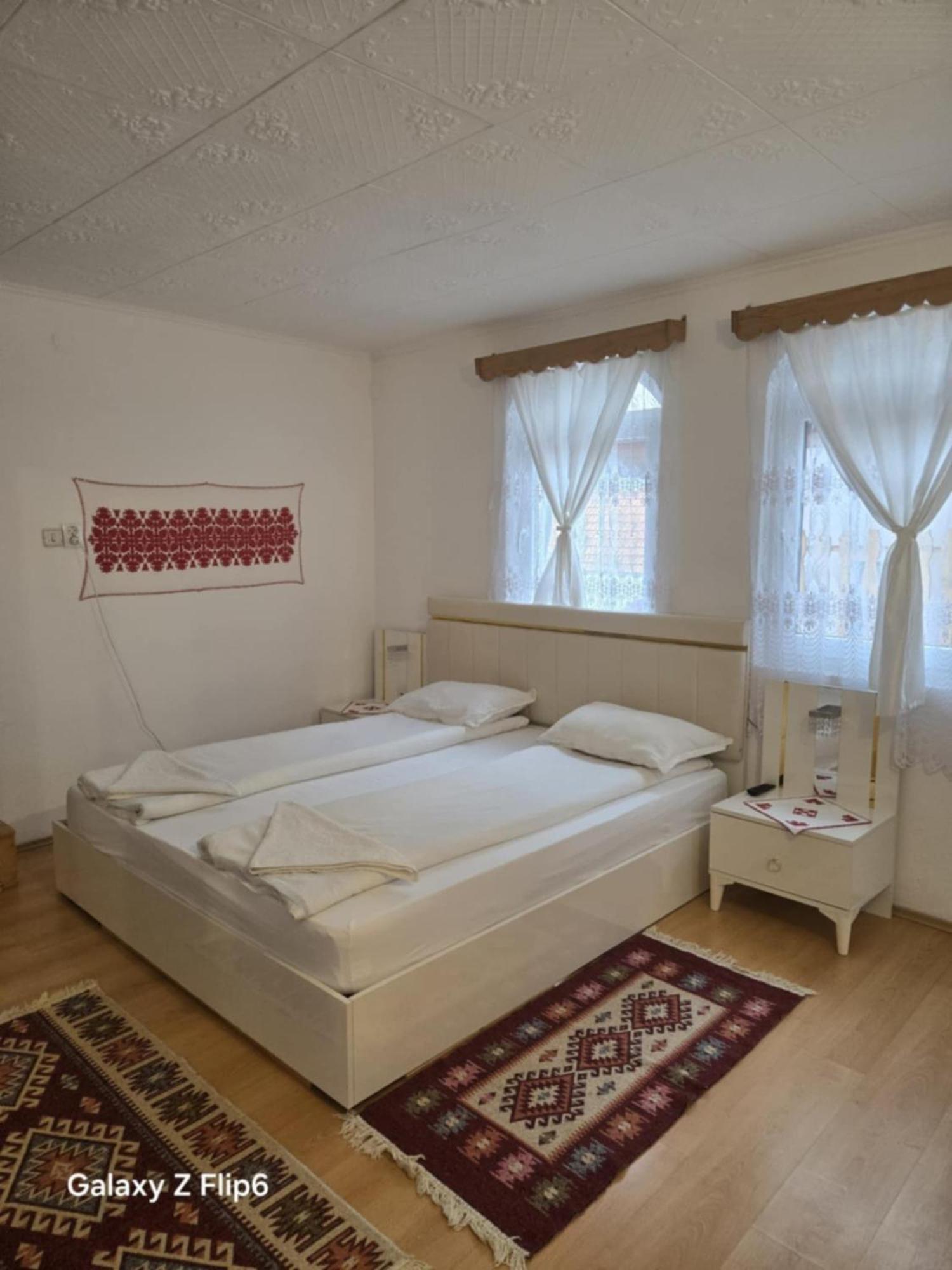 Bed and Breakfast Rozsa Panzio Rimetea Exterior foto